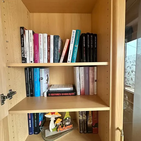 Apartment Grand Au Coeur De La Region Alsacienne *