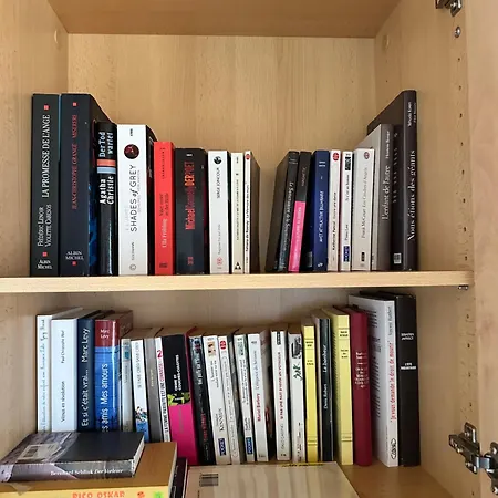 Grand Au Coeur De La Region Alsacienne