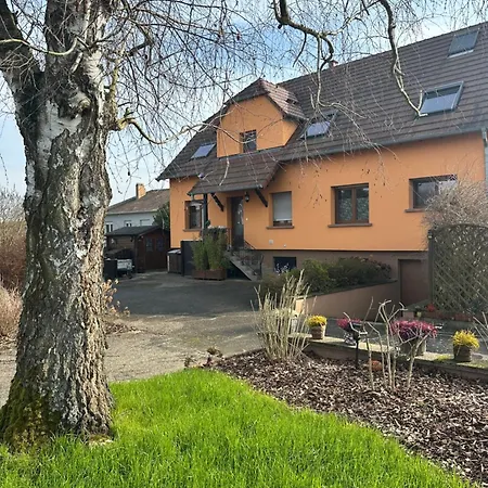 Grand Au Coeur De La Region Alsacienne * Schweighouse-sur-Moder