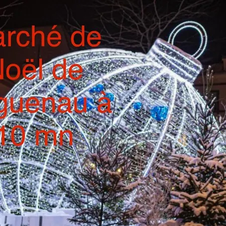 Grand Au Coeur De La Region Alsacienne