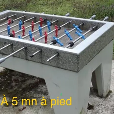 Grand Au Cœur De La Région Alsacienne *