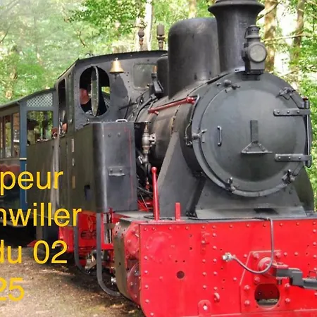 Grand Au Cœur De La Région Alsacienne Appartamento Schweighouse-sur-Moder
