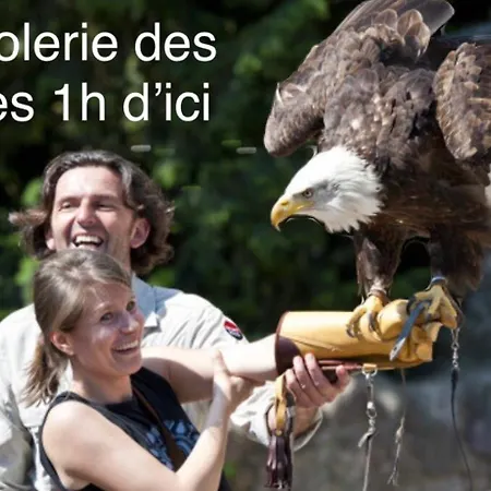 Grand Au Coeur De La Region Alsacienne Apartment *