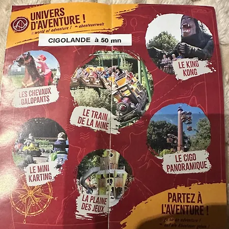 Grand Au Coeur De La Region Alsacienne * Schweighouse-sur-Moder