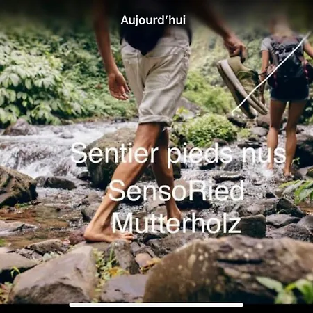 Apartment Grand Au Coeur De La Region Alsacienne Schweighouse-sur-Moder