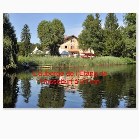 Apartment Grand Au Coeur De La Region Alsacienne