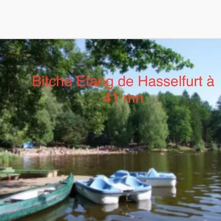 Apartment Grand Au Coeur De La Region Alsacienne