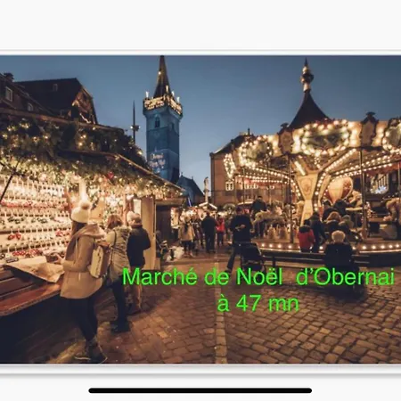 Grand Au Coeur De La Region Alsacienne Apartment