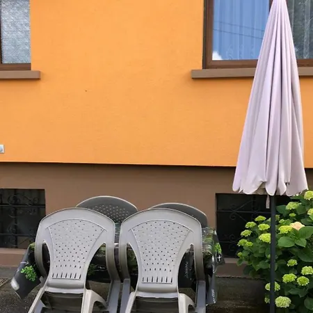 Grand Au Coeur De La Region Alsacienne