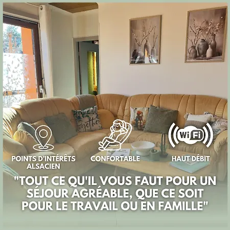 Grand Au Coeur De La Region Alsacienne Apartment