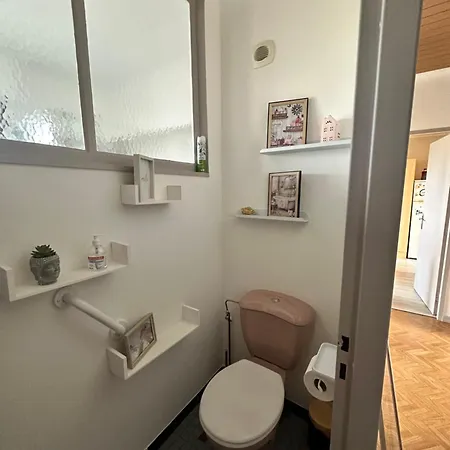 Grand Au Coeur De La Region Alsacienne Apartment