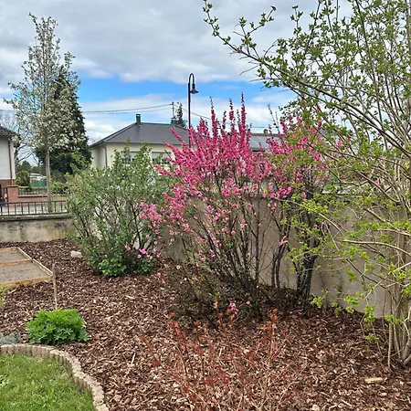 Apartment Grand Au Coeur De La Region Alsacienne *