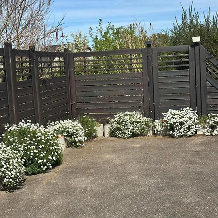 Apartment Grand Au Coeur De La Region Alsacienne