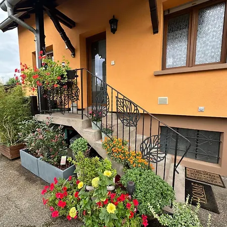 Grand Au Coeur De La Region Alsacienne Apartment *