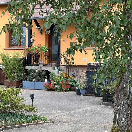 Grand Au Coeur De La Region Alsacienne Schweighouse-sur-Moder