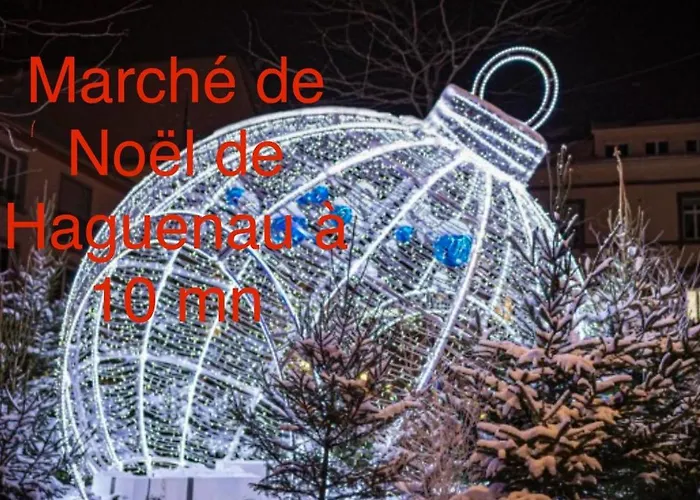 Grand Au Cœur De La Région Alsacienne