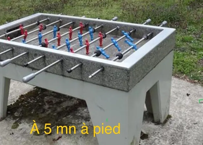 Grand Au Cœur De La Région Alsacienne *