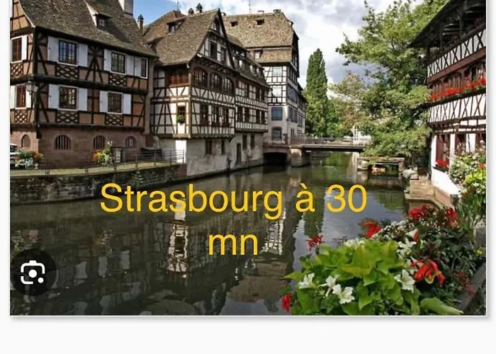Grand Au Cœur De La Région Alsacienne *