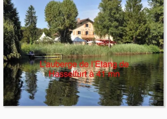 Apartamento Grand Au Cœur De La Région Alsacienne
