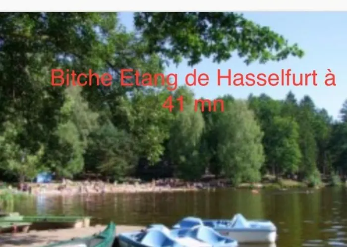 Apartamento Grand Au Cœur De La Région Alsacienne