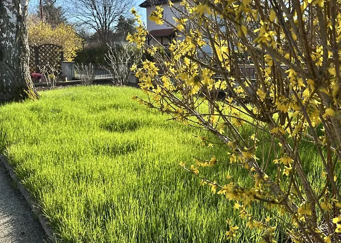 Apartamento Grand Au Cœur De La Région Alsacienne